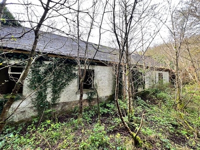 Mullaghycullen, Drumcong, Co. Leitrim, LM8255F (For ID)