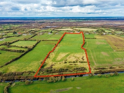 c. 3.86 hectares / 17 acres, Drumsru, Rathangan, Co. Kildare