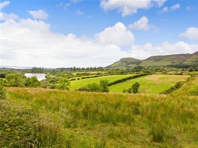 19.89 Acres Of Land At Carrowustia, Calry, Co. Sligo