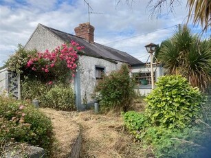 The Course, Durrow, Laois