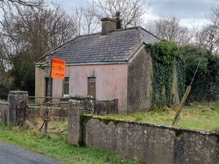 Ballybricken, Grange, Limerick