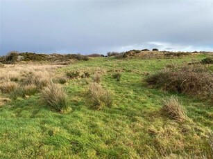 38.5 Acre farm at Ballymackilduff, Portnoo, Co., Donegal