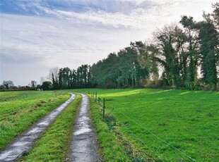 Residence On Approx. 102 Acres (42 Ha) Dreenane, Carbury, County Kildare