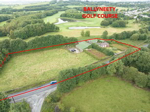 Ballinagarde, Ballyneety