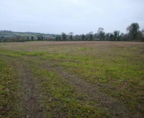 C.42 Acre Non- Residential Holding Newtown, Kilcock, Kildare