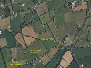 Circa 57 Acres, 22.98 Hectares At Milestown, Cloneen