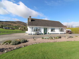 Moneymore, Carlingford, Dundalk