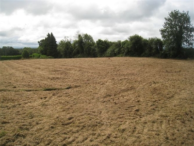 Screeboge Carrickboy, Edgeworthstown, Longford