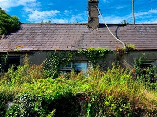 Newport East, Youghal, Cork