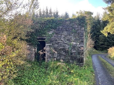 Loughnagowan, Corofin, Clare