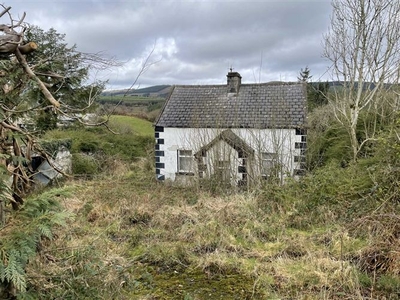 Lacabeg, Cappamore, County Limerick