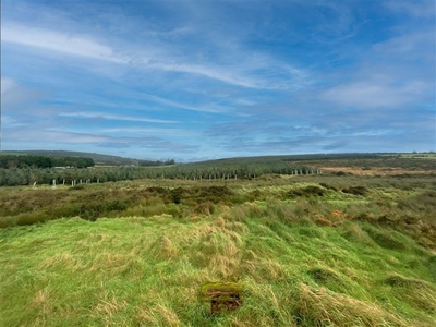 Lisheens, Manor Kilbride, Blessington, Wicklow