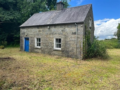 Killalesh Lower, Kiltegan, Wicklow