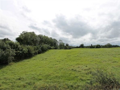 shanvalley, stoney island, portumna, co. galway