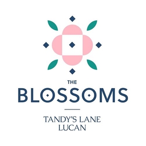 4 Bedroom House, The Blossoms At Tandy's Lane, Adamstown, Lucan, Co. Dublin
