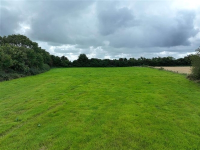 Antylstown Lane, Navan, Meath