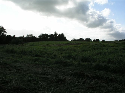 Oldtown, Abbeyleix, Laois