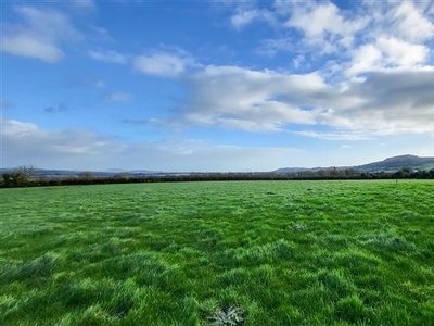 Mileshogue, Camolin, Gorey, Wexford