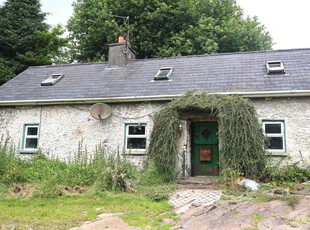 Stough Nealstown, Roscrea