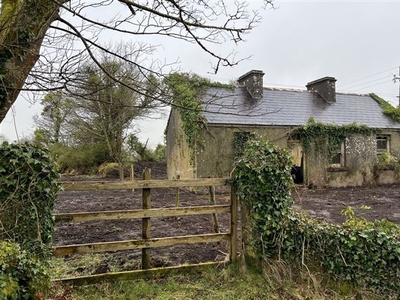 Kiltybo (11 acres), Ballyhaunis, Co. Mayo