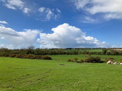Lands At Dowth - C. 84 Acres, Dowth, Co. Meath