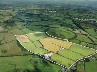 Ivy Wall, Kilcullen, Kildare