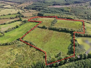 8.5 Acres, Killeen, Gort, Co. Galway