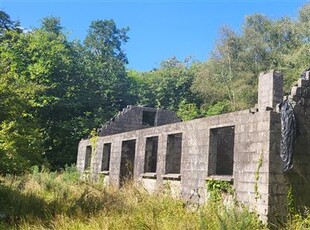 Ardnagashel Woods, Ballylickey, Bantry, West Cork