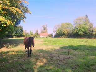 Knockagarry, Mitchelstown, Cork