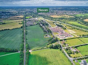 Residence On Approx. 39.5 Acres, Boyne Road, Navan, County Meath