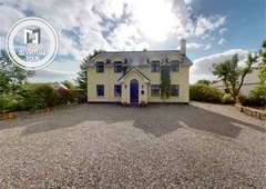 oyster catcher, stradbally east, kilcolgan, galway, co.galway h91nv0r