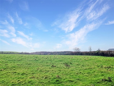 Ballymaquiggin, Larch Hill, Ennis, Co. Clare