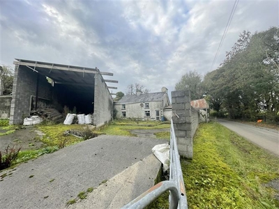 Elfeet, Newtowncashel, Longford