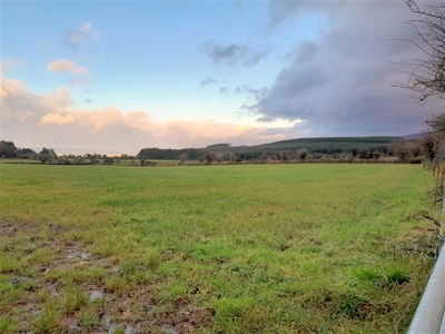 Lyrefune, Ballyporeen near, Mitchelstown, Cork