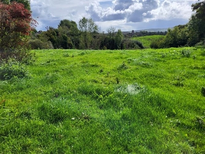 Mace, Westport, Mayo