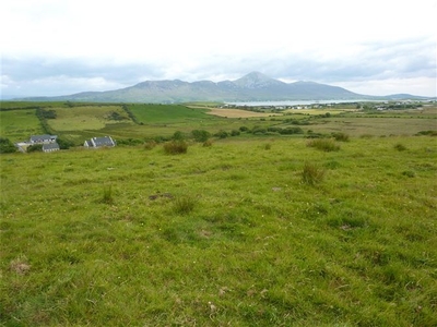 37 Acres Of Agricultural Land, Mucklagh, Carrowholly, Westport, Co. Mayo