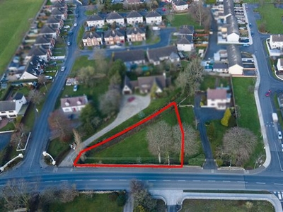 Site at Royal Oak Road, Bagenalstown, Carlow