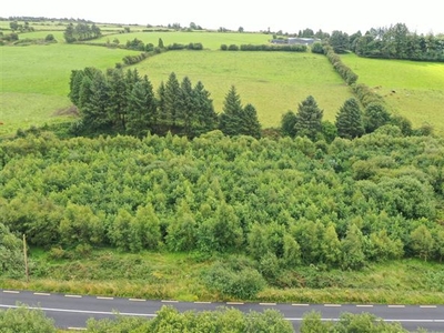 Clashykinleen East, Co.Cork