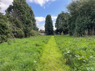 Site At, Lower Grange, Waterford City, Waterford