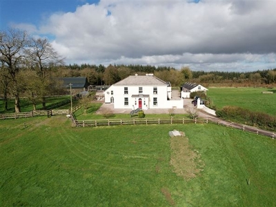 Farm Hill House, High Teeveeny, Dromina, Co. Cork, P56DH63