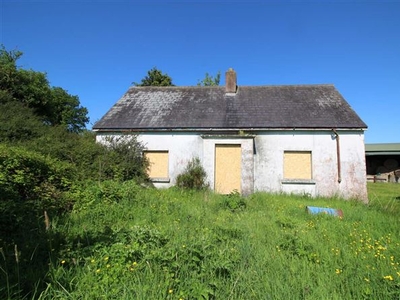 Luggacurren, County Laois