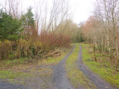 Site Sold SPP, Derrynanaff, Barley Hill, Westport, Co. Mayo