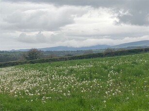 Site B At Ballyminane Mills, Enniscorthy, Co. Wexford