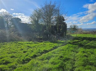 Liscahane, Millstreet, Cork