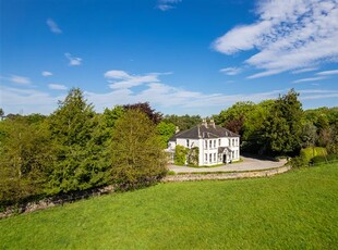 Lot 1, Rathduff Stud, Golden, Tipperary