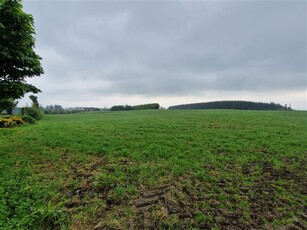 Site at Slatt, Wolfhill, Ballylynan, Laois