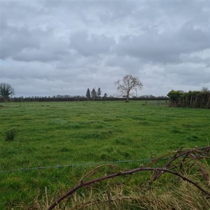 Carrowreagh Knox, Tubbercurry, Sligo