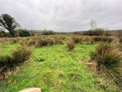 BEARVAISH, RATHMULLEN, Ballymote, Sligo