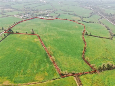 Bonerea, Cappagh White, Tipperary