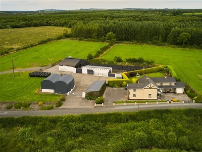 Gaigue, Ballinamuck, Longford